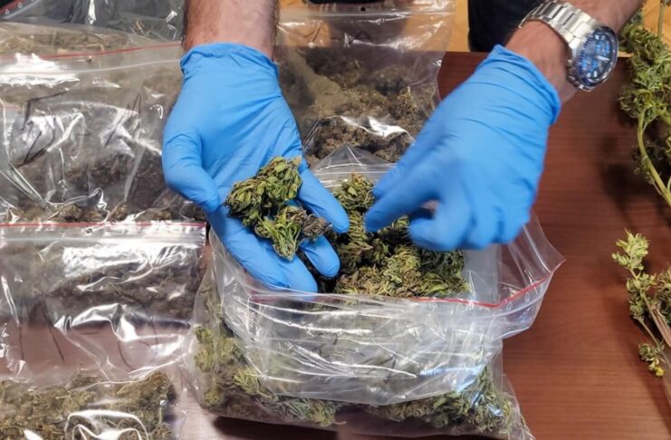 Małżeństwo zatrzymane za przestępstwa narkotykowe w Zielonej Górze