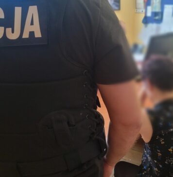 Dwoje dilerów narkotyków zatrzymanych w Zielonej Górze. Sadzonki konopi hodowali na balkonie