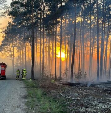 Pożar lasu w okolicach Gręzawy Pożar lasu w okolicach Gręzawy