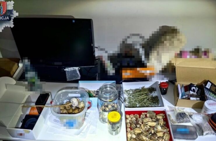 Ponad 2100 działek narkotyków przejętych przez Policję - 20-letni diler aresztowany