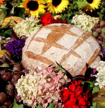 Dożynki w Małomicach 2024: atrakcje, gwiazdy i darmowy transport z Żagania Dożynkowe plony i bochenek chleba