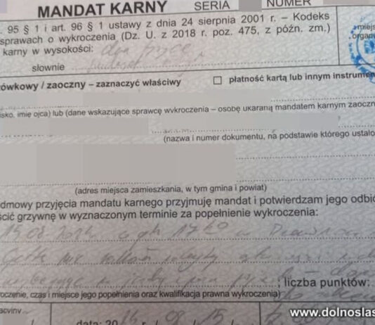 Wypadek w Dzierżoniowie: Potrącony pieszy ukarany grzywną
