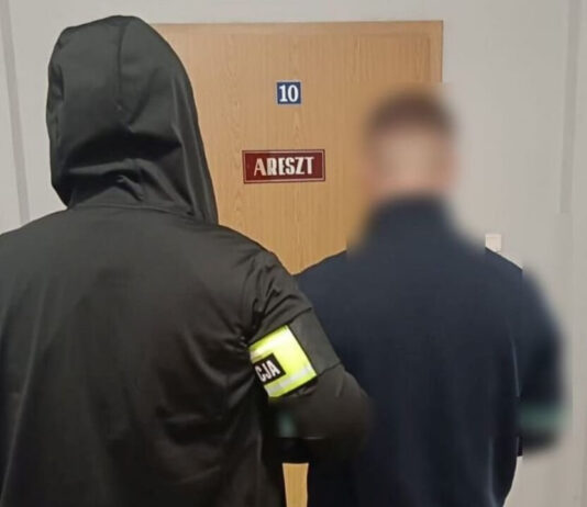 Amfetamina zamiast soli - nastolatek przewoził 5 tys. porcji narkotyku