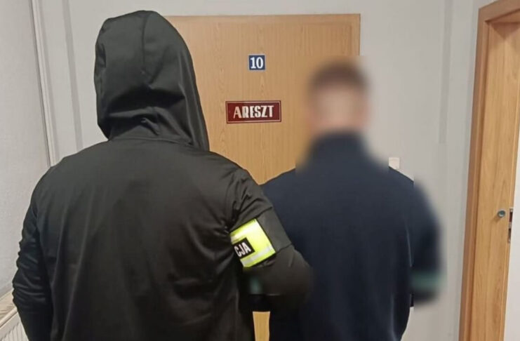 Amfetamina zamiast soli – nastolatek przewoził 5 tys. porcji narkotyku Amfetamina zamiast soli - nastolatek przewoził 5 tys. porcji narkotyku