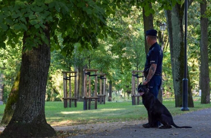 Izi na służbie w Zielonej Górze: Nowy pies policyjny o stalowym charakterze i silnych szczękach Izi na służbie w Zielonej Górze: Nowy pies policyjny o stalowym charakterze i silnych szczękach