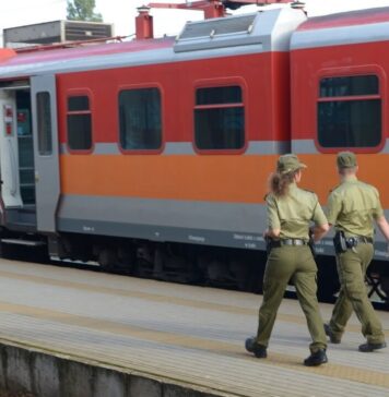 Straż Graniczna podczas kontroli pociągu