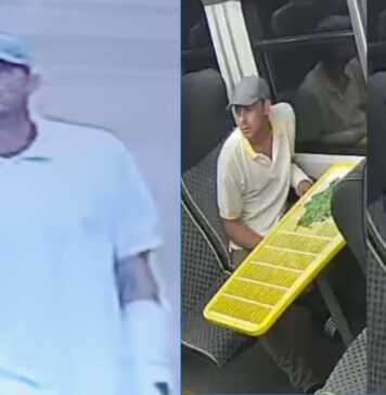 Tragiczny wypadek w Zagajniku: wtargnął pod pociąg i zginął na miejscu - tożsamość ofiary nieznana