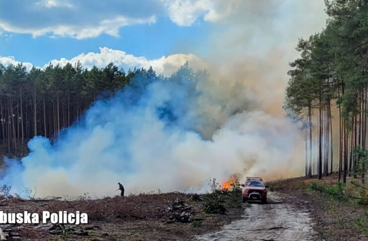 Podejrzany o podpalenia lasów w Lubsku zatrzymany złapany na gorącym uczynku. Grozi mu 10 lat więzienia