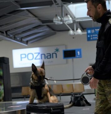 Strażnik graniczny z psem na lotnisku w Poznaniu