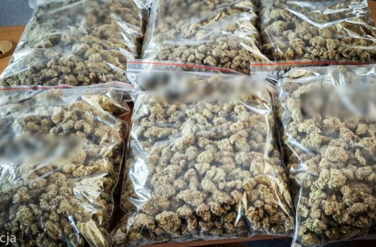 kryminalni zatrzymali podejrzanego z 3 kilogramami narkotyków