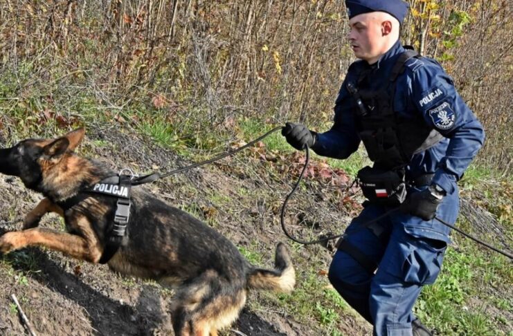 77-latka zgubiła się w lesie podczas grzybobrania 77-latka zgubiła się w lesie podczas grzybobrania