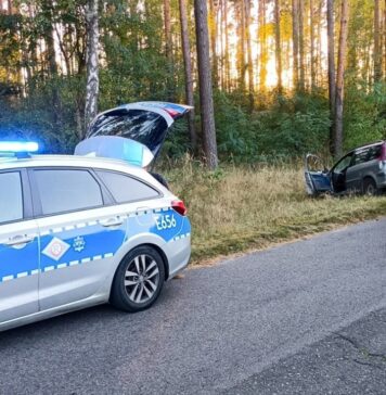 Kierowca z 4 promilami wylądował w rowie – gdy pojawili się funkcjonariusze próbował ucieczki w las