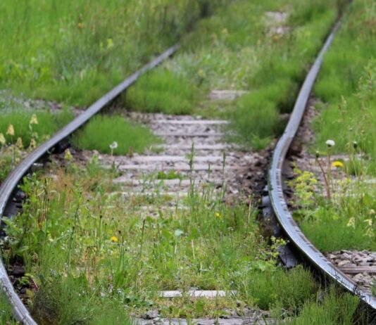 Rewitalizacja linii kolejowej Bieniów – Lubsko Tory zarośnięte trawą