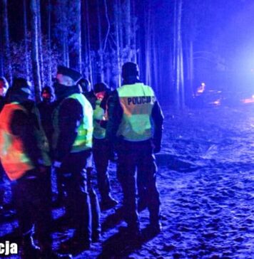 Poszukiwania grzybiarza zakończone sukcesem – 71-latek odnaleziony w lesie