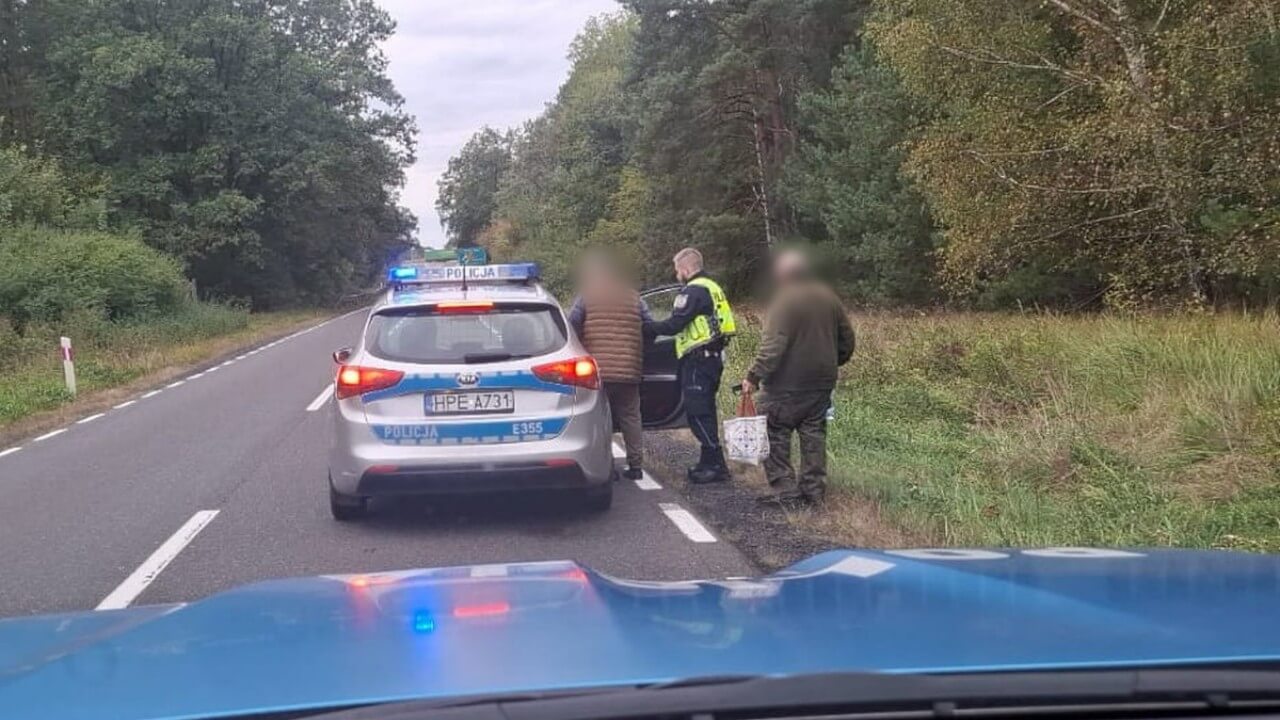 Zaginiony senior odnaleziony – 68-latek stracił orientację podczas grzybobrania