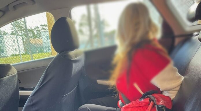 Koniec ucieczki po 6 latach – poszukiwana ukrywała się za granicą, teraz trafiła do aresztu Koniec ucieczki po 6 latach – poszukiwana ukrywała się za granicą, teraz trafiła do aresztu