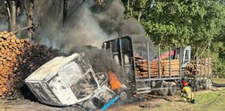 Pożar w Golinie: Spłonęła ciężarówka z drewnem
